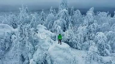 鸟瞰：人<strong>站在山顶</strong>，周围是白雪覆盖的森林
